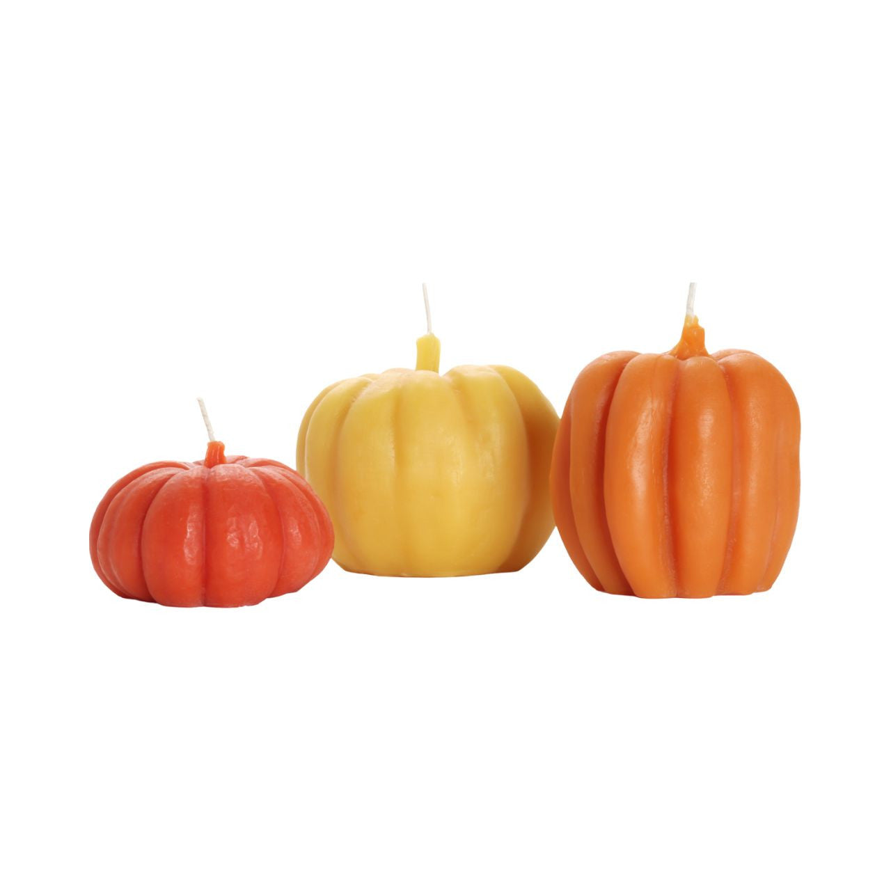 Autumn Comfort Bundle