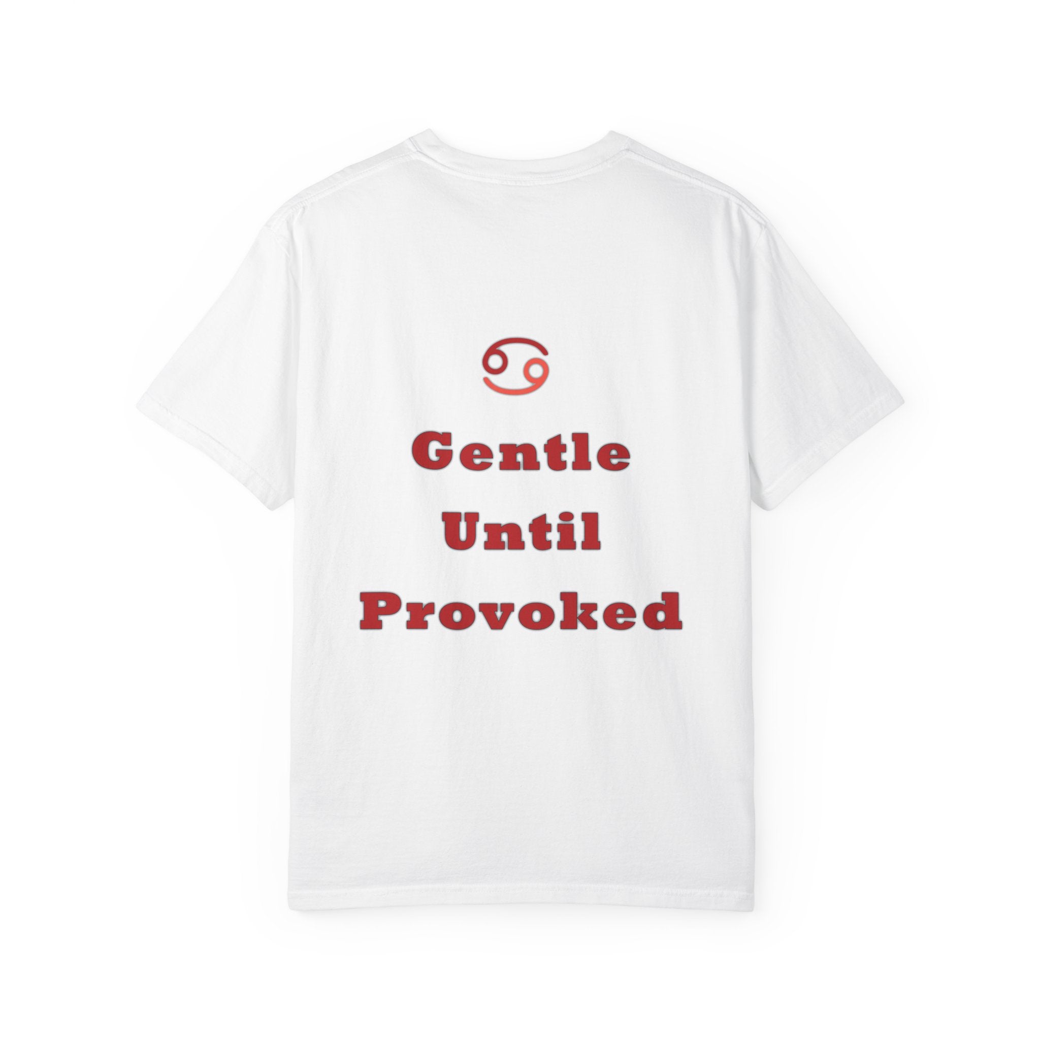 Capricorn Zodiac Tee
